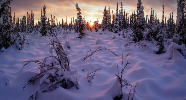 Winter solstice