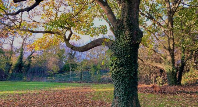 Autumn equinox
