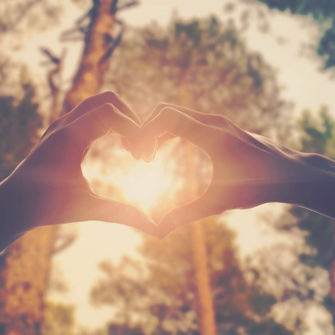 Hands joined together in a heart shape